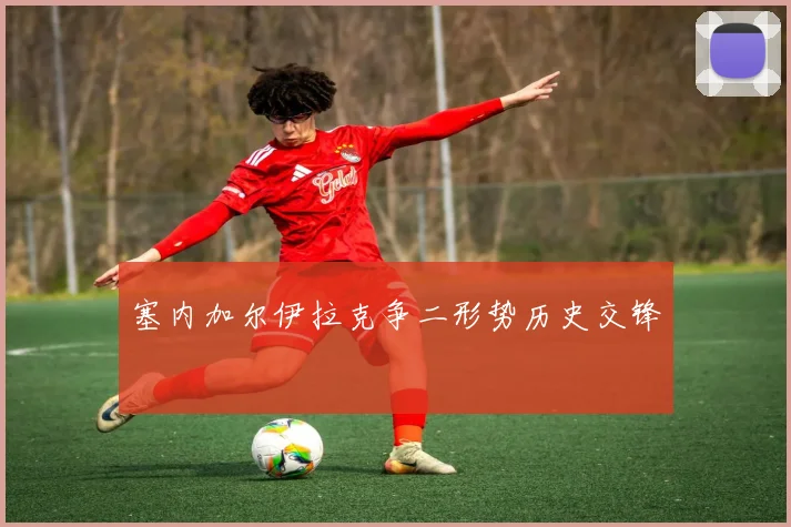 塞内加尔伊拉克争二形势历史交锋