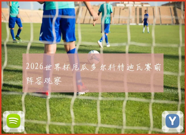 2026世界杯厄瓜多尔科特迪瓦赛前阵容观察