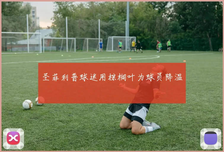 圣菲利普球迷用棕榈叶为球员降温