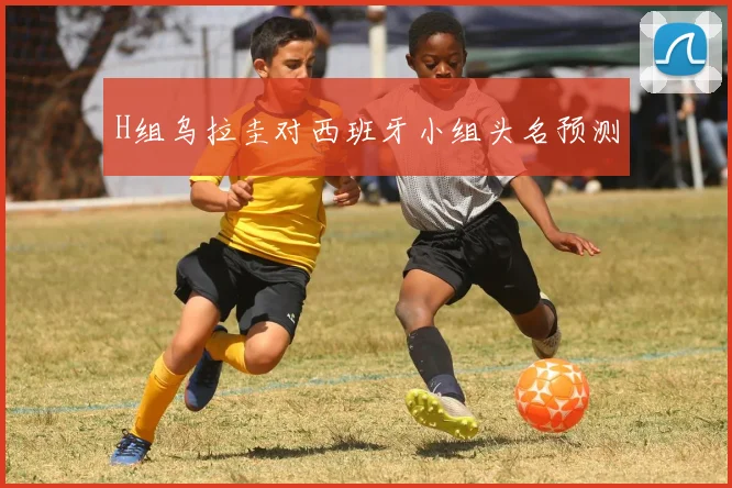 H组乌拉圭对西班牙小组头名预测