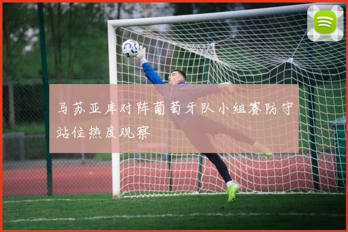 马苏亚库对阵葡萄牙队小组赛防守站位热度观察