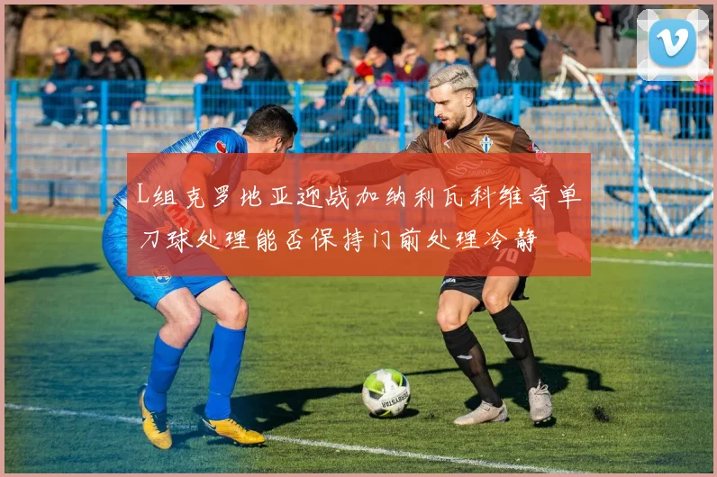 L组克罗地亚迎战加纳利瓦科维奇单刀球处理能否保持门前处理冷静