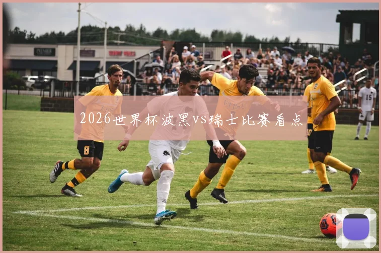 2026世界杯波黑vs瑞士比赛看点
