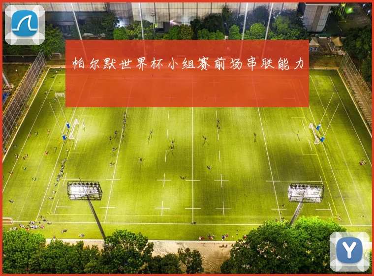 帕尔默世界杯小组赛前场串联能力