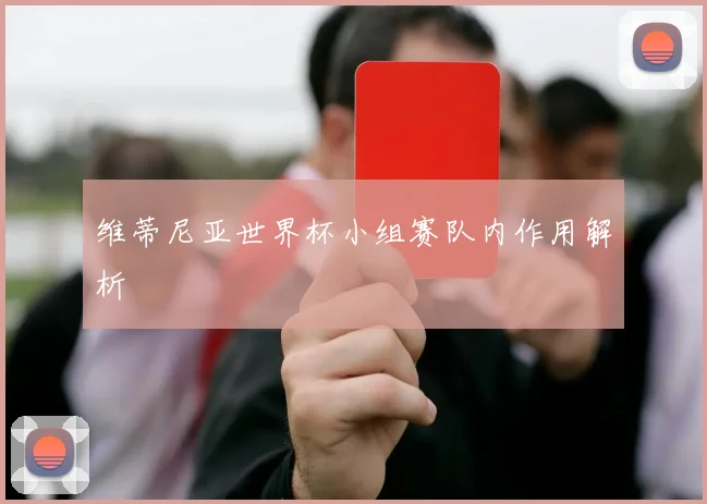 维蒂尼亚世界杯小组赛队内作用解析